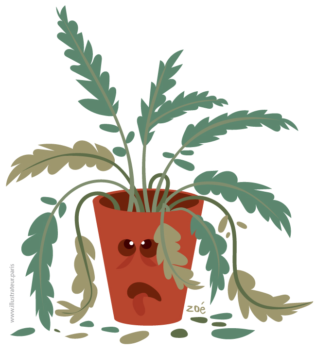 illustration plante bureau