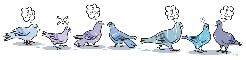 illustration pigeons